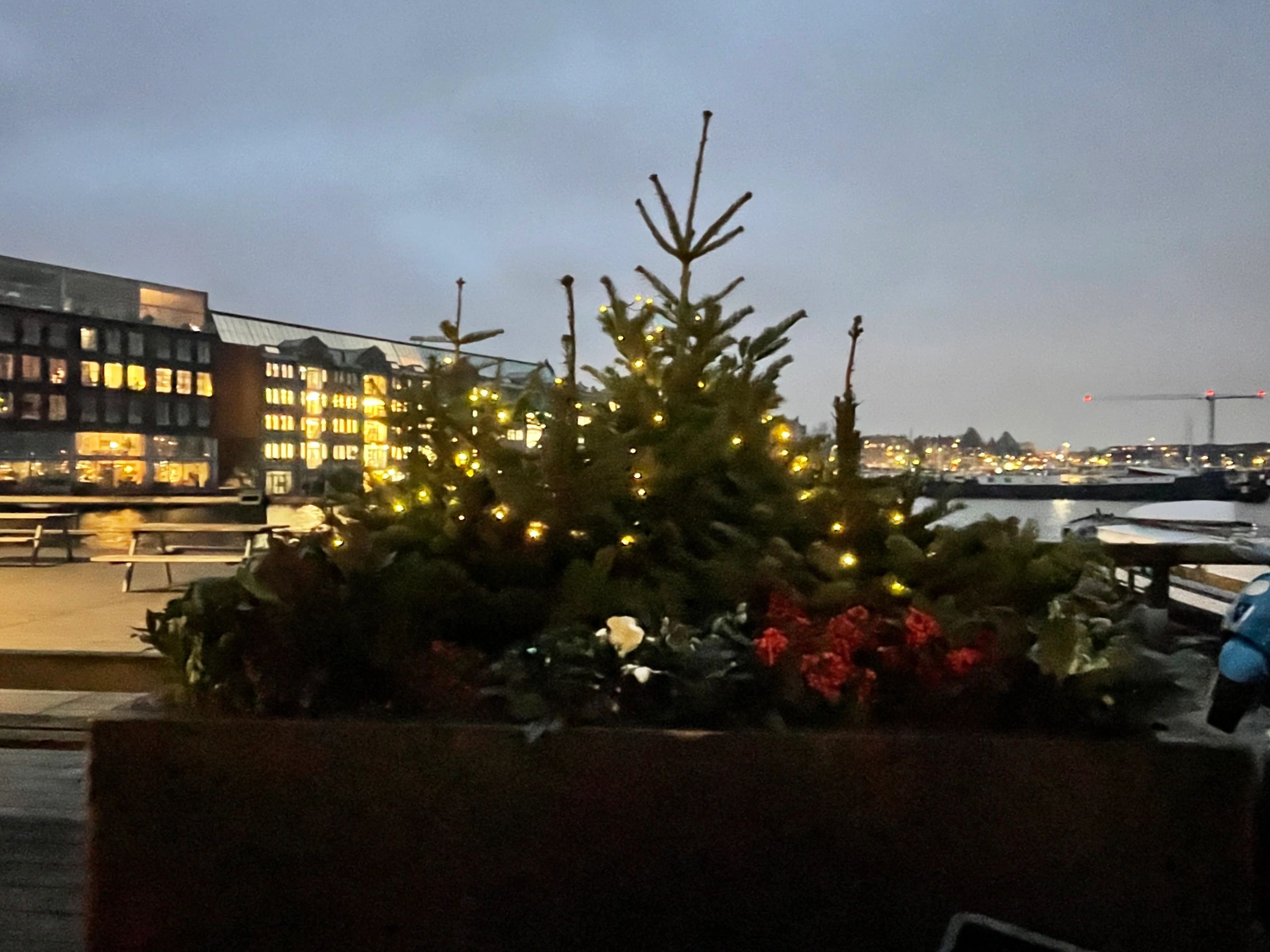 Solar kerstverlichting Holly - Solar feestverlichting met 100 leds - warm wit licht