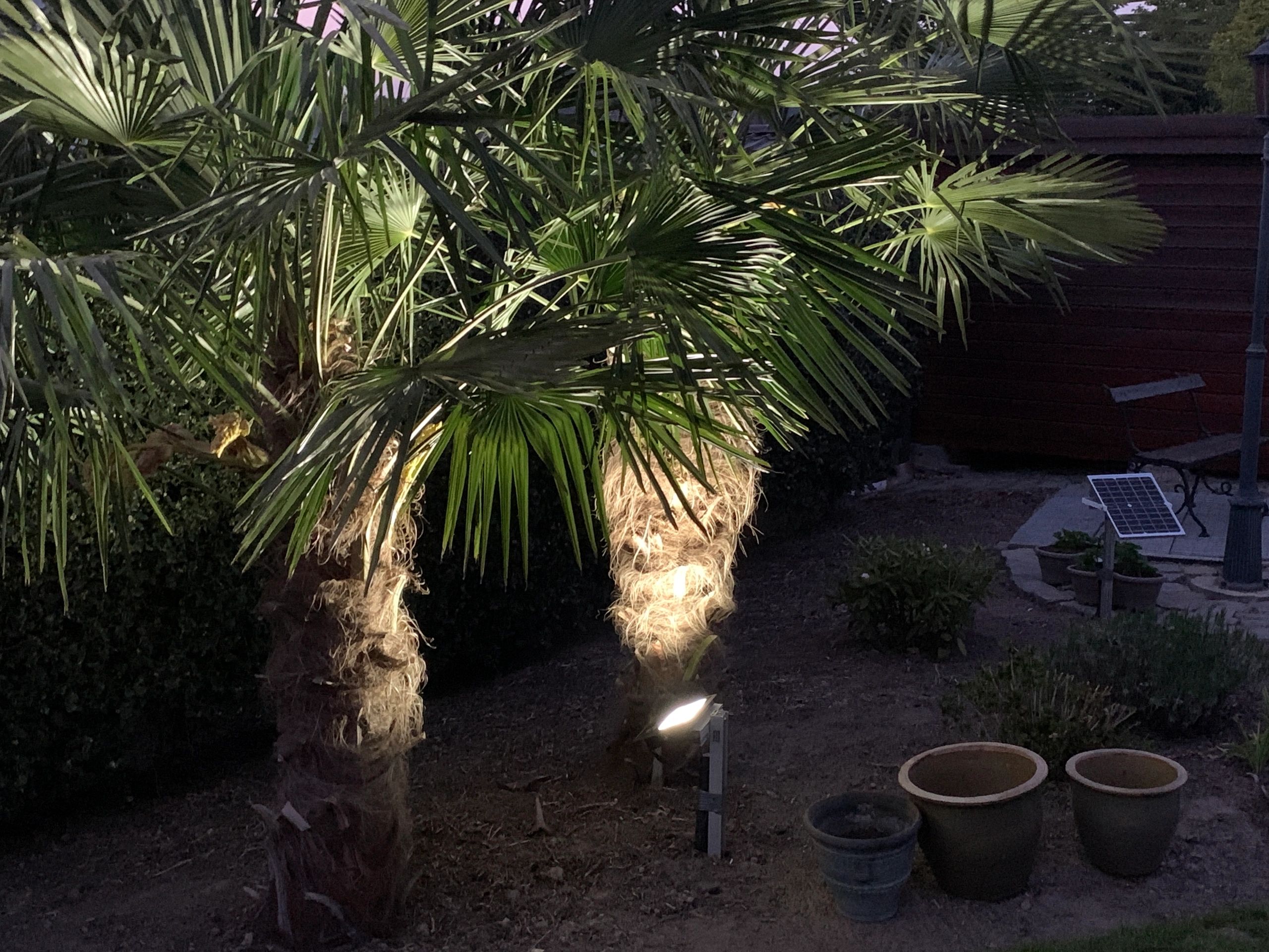 Solar wandlamp Capital II met los zonnepaneel