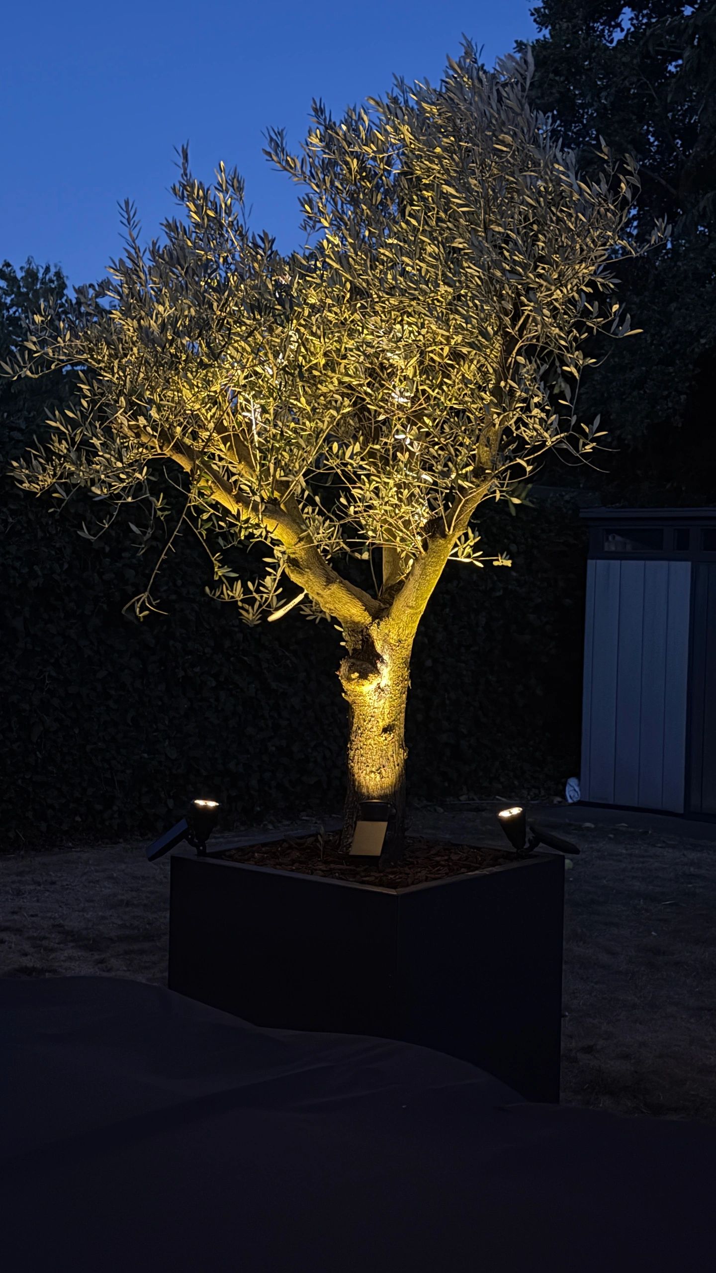 Solar wandspot Highlight voor wandmontage of grondspies - buitenlamp op zonne energie warm wit