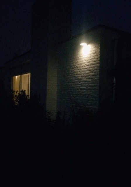 Solar wandlamp Slim II met 49 leds en bewegingsmelder RVS op zonne-energie