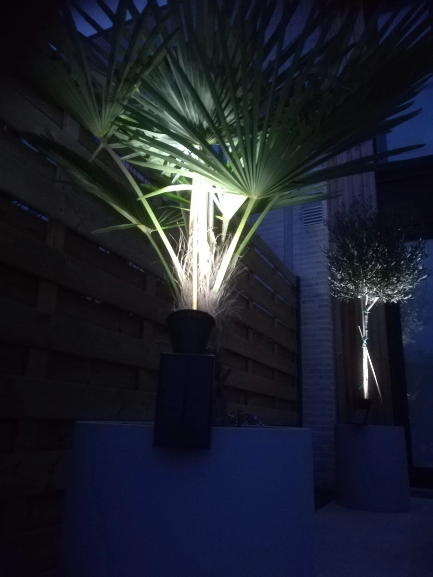 Solar spot Highlight voor wandmontage of grondspies - buitenlamp op zonne energie