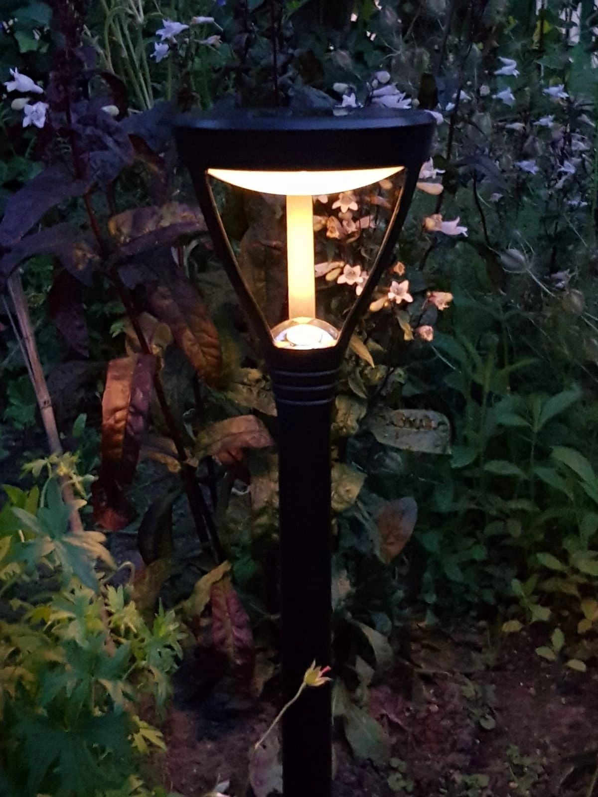 Voordeelset Solar priklamp Birdie zwart met warm wit licht