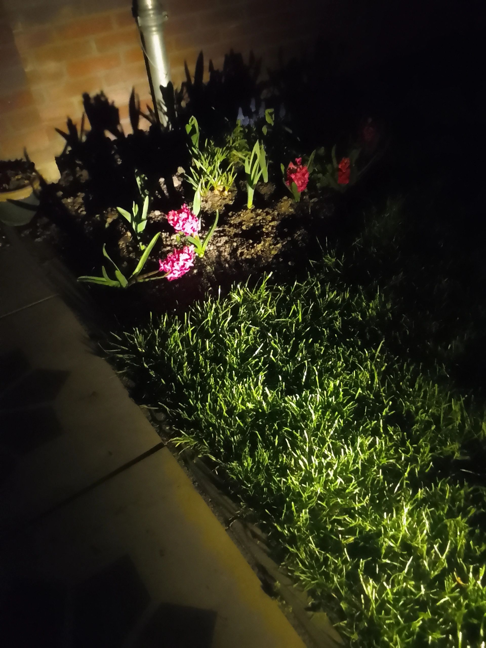 Solar spot Twins met twee spots en los solarpaneel