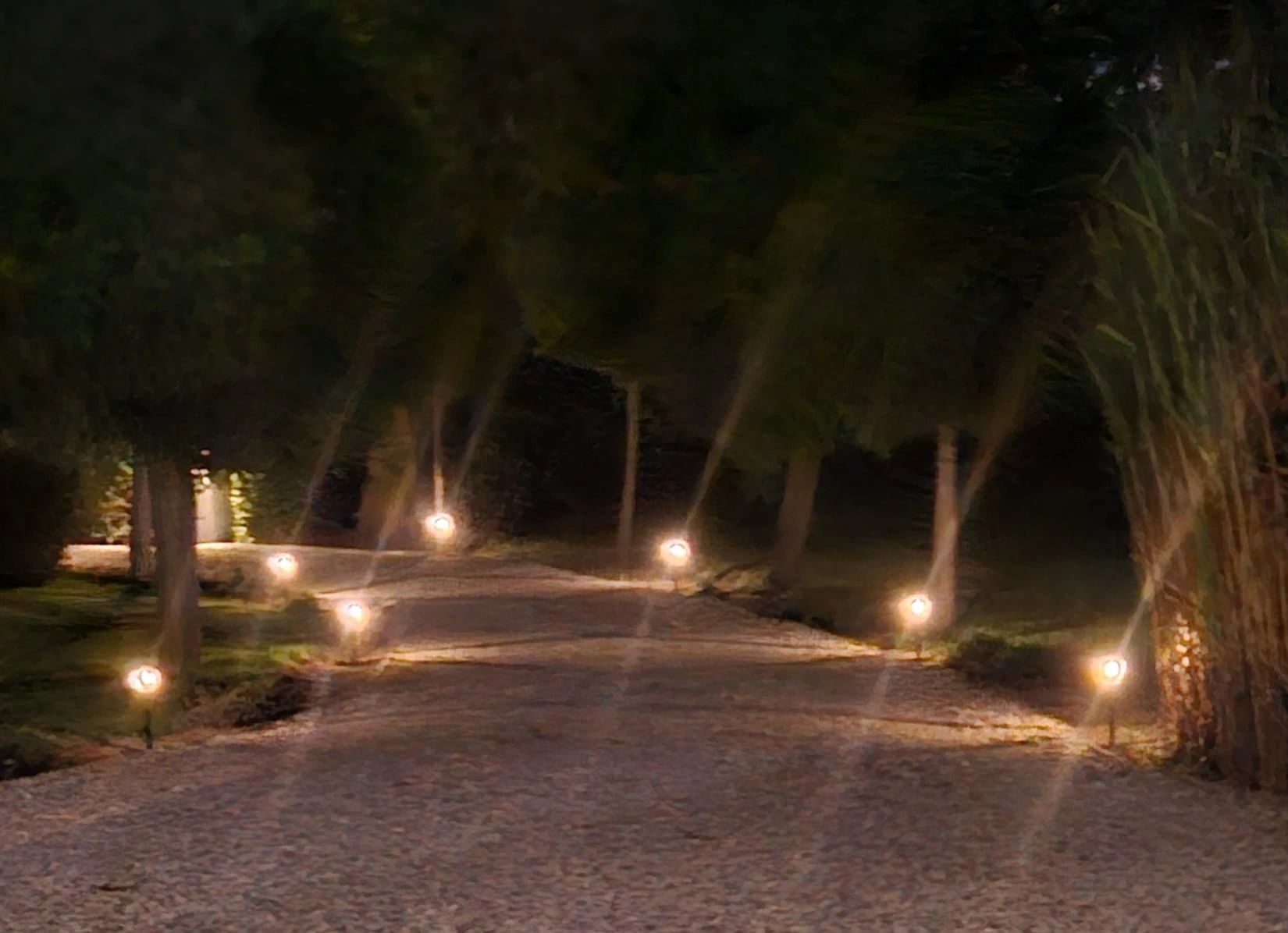Solar LED priklamp Prickle | Warm wit licht | Voordeelset van 4 stuks