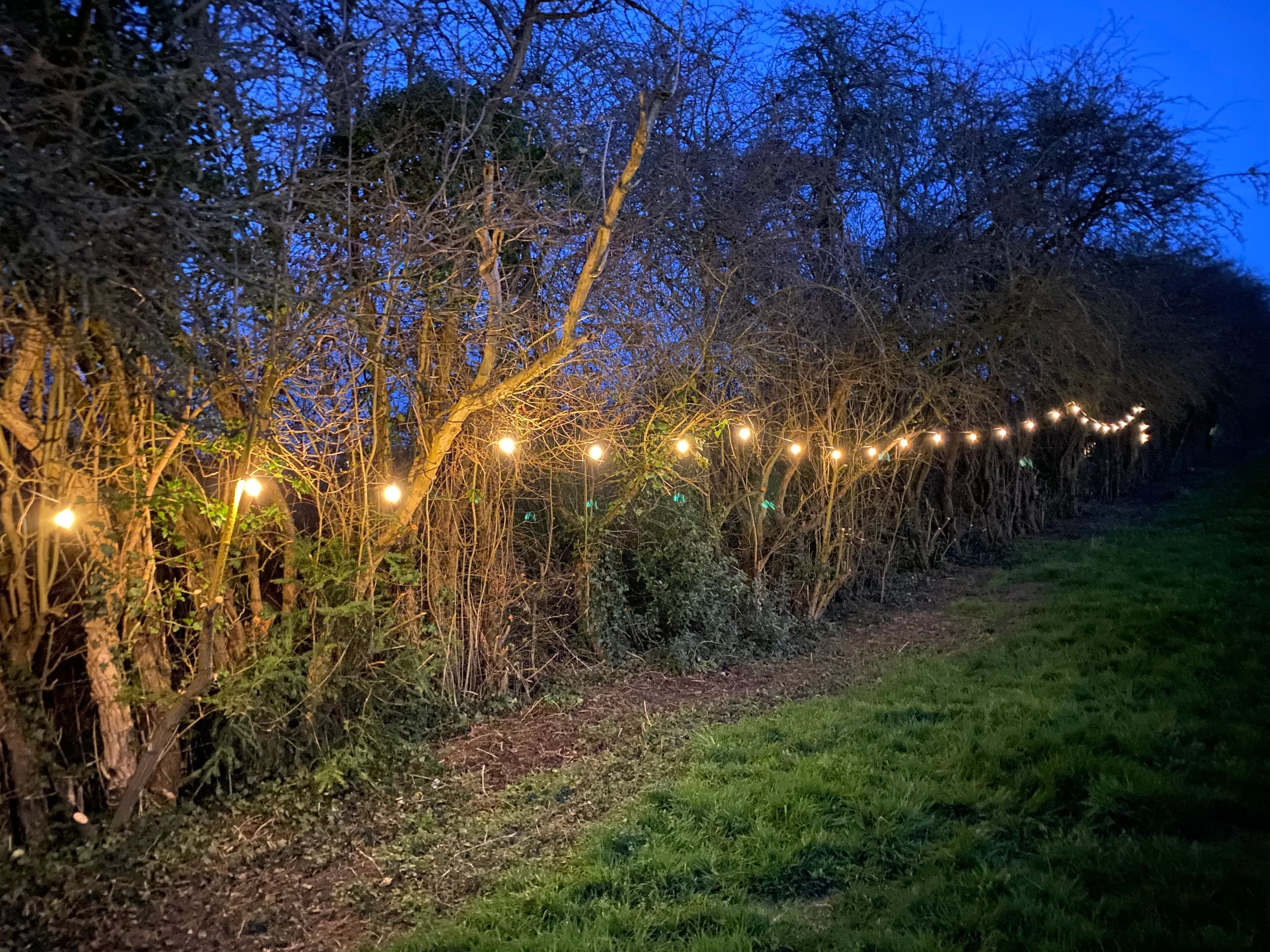 Solar lichtslinger Chain met 15 led filament lampen
