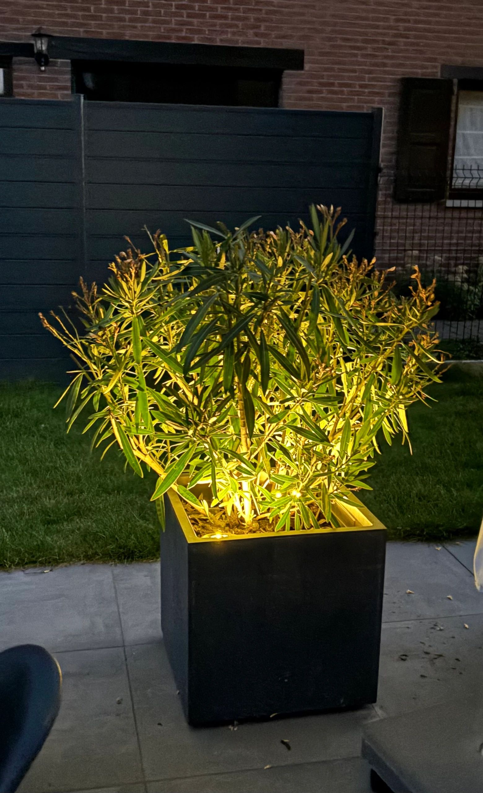 Solar grondspot Impuls LED