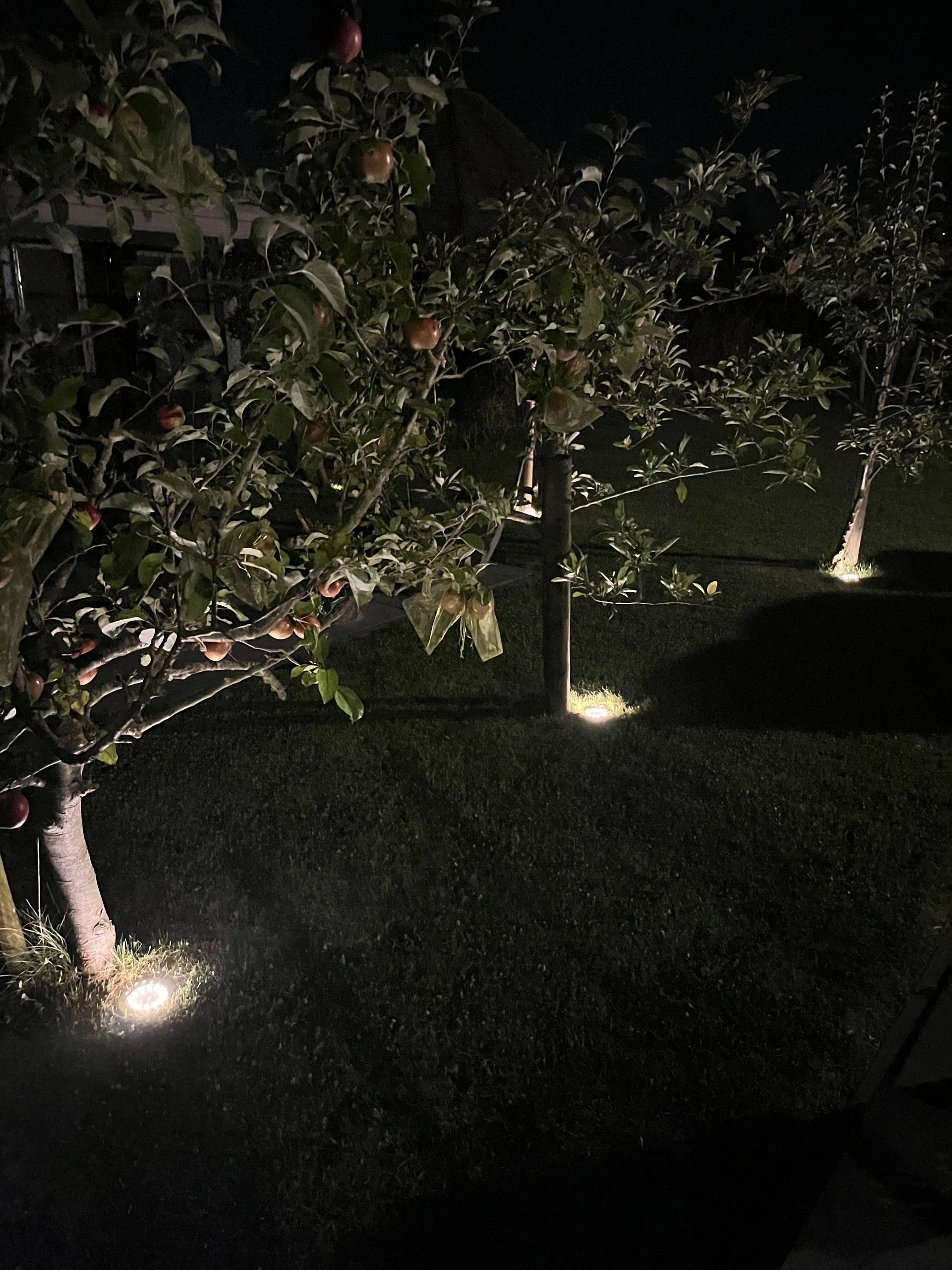 Solar grondspot Impuls LED