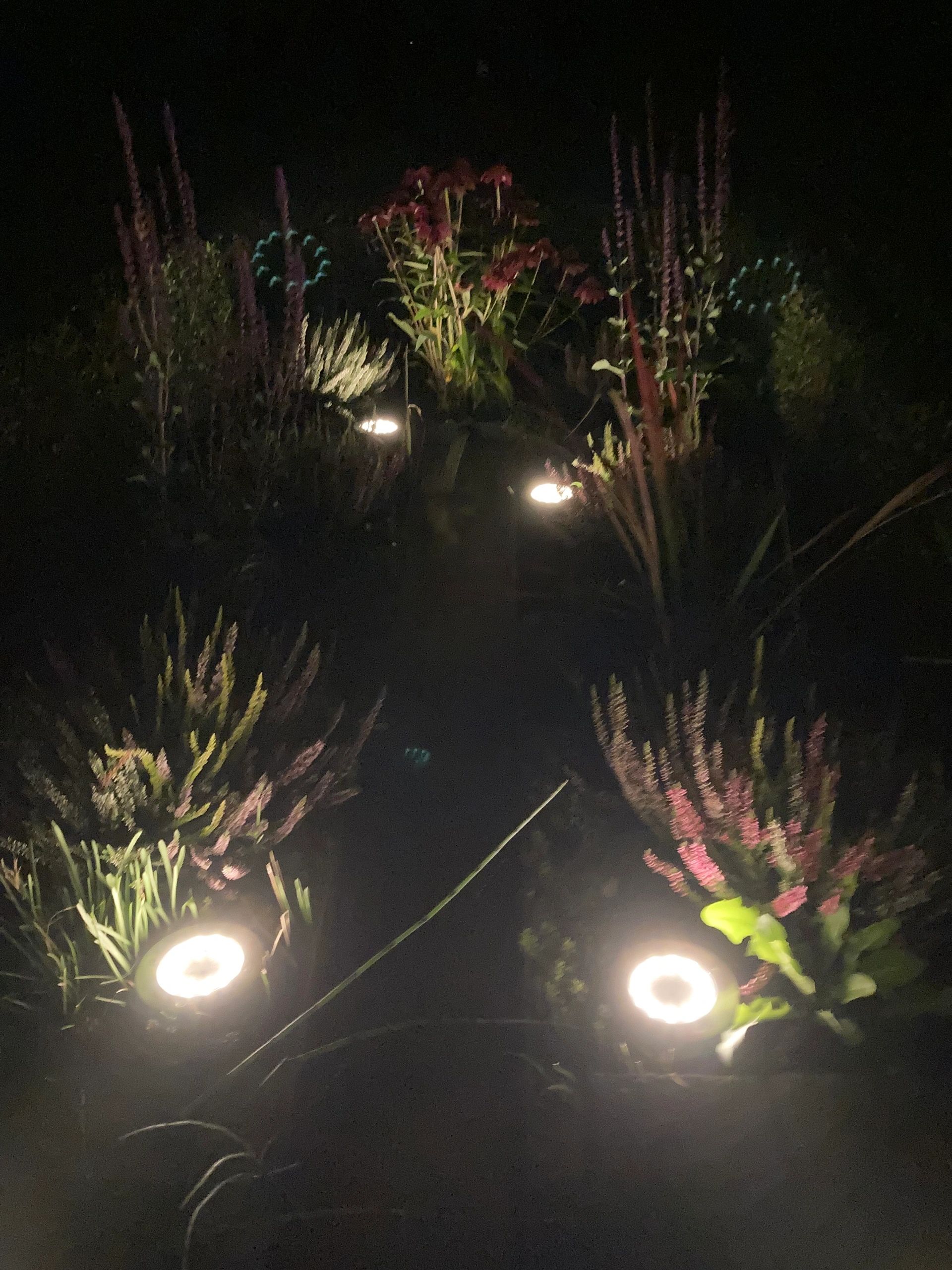 Solar grondspot Impuls LED