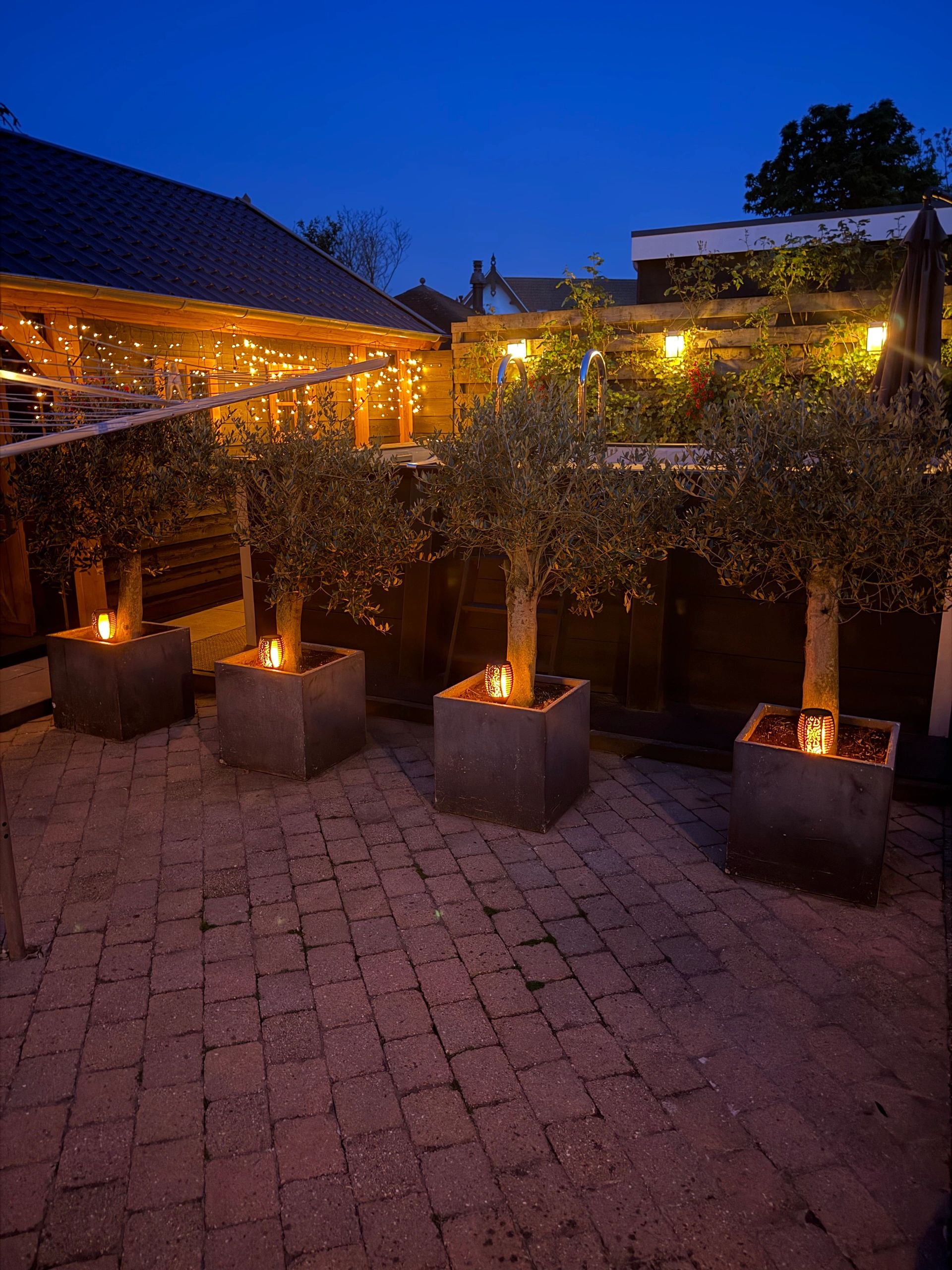 Solarlamp Fakkel zwart met schemersensor