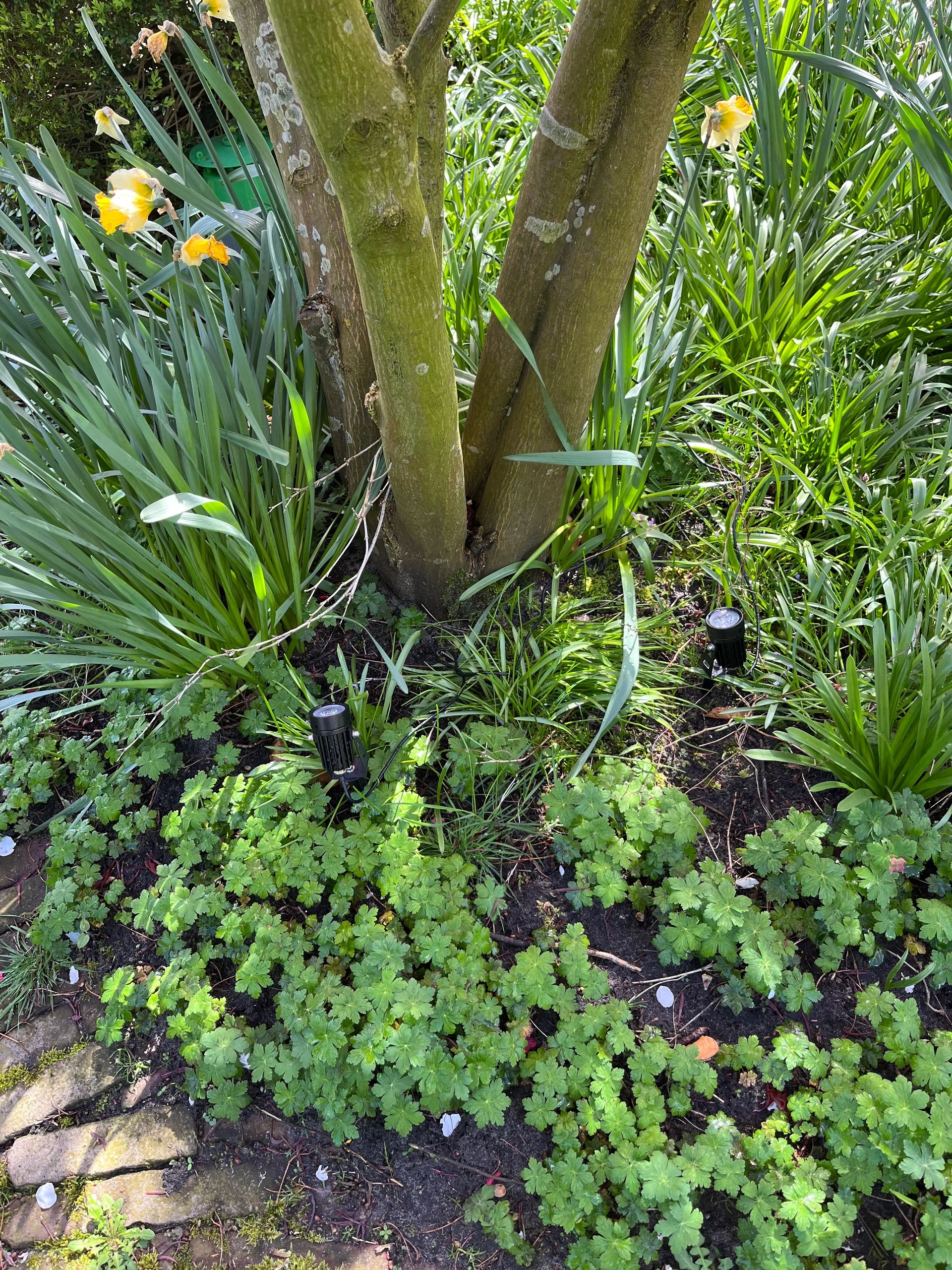 Solar spot Twins met twee spots en los solarpaneel