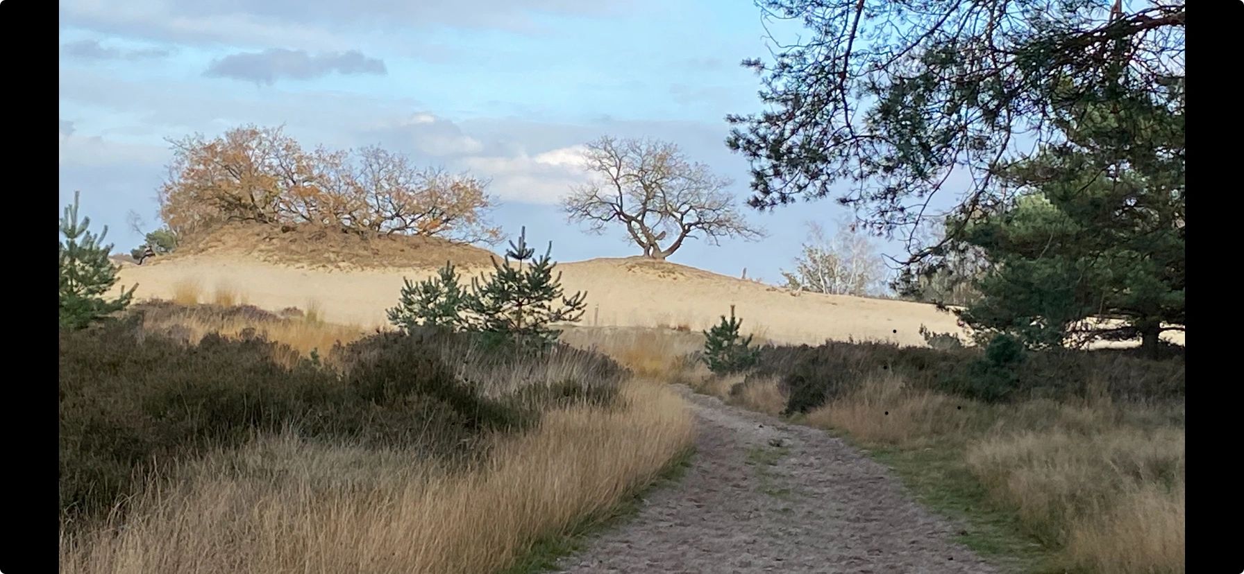 Zwarte solar wandlamp Stripe op zonne-energie set van 4