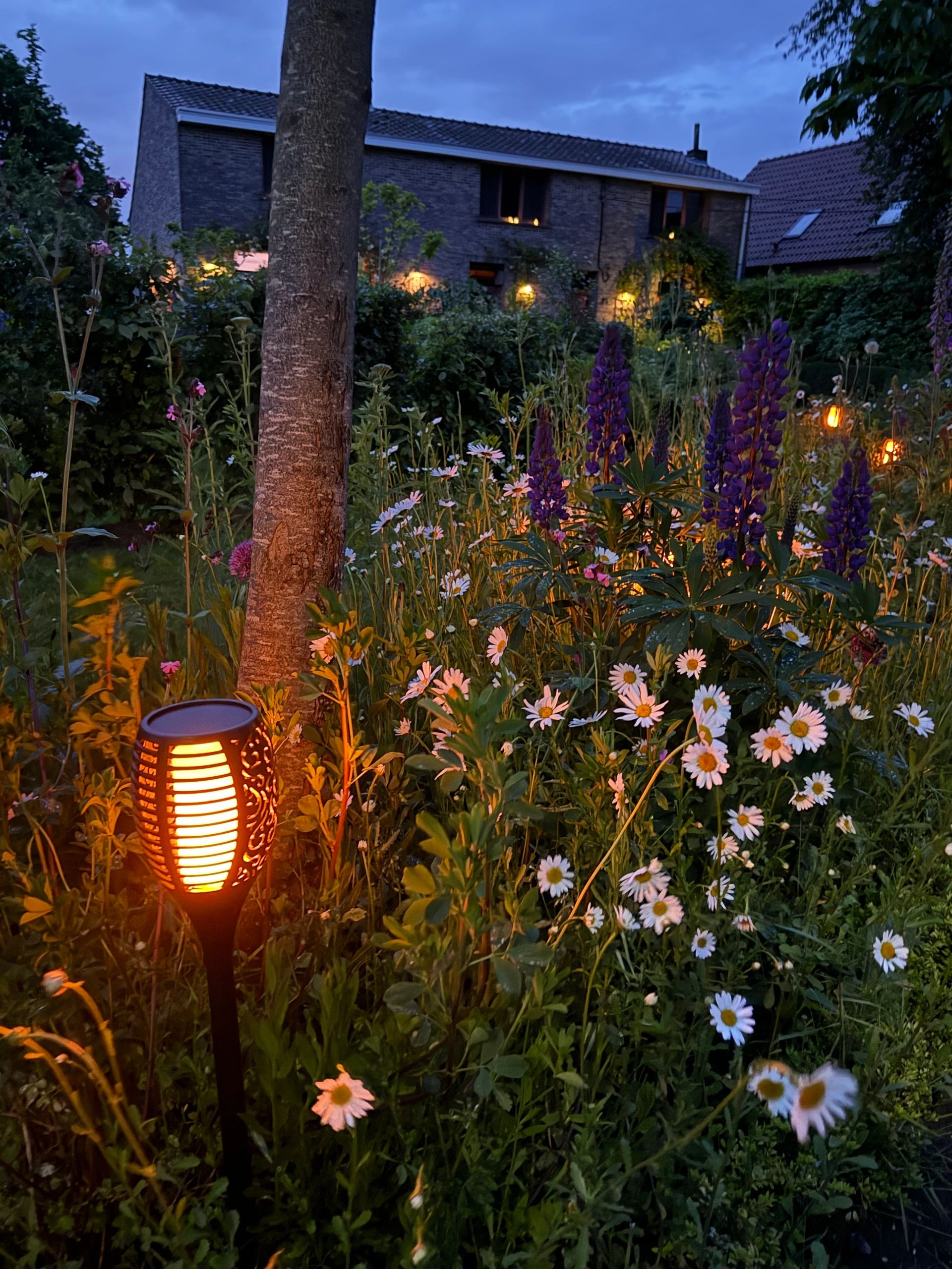 Solarlamp Fakkel voordeelset zwart met schemersensor