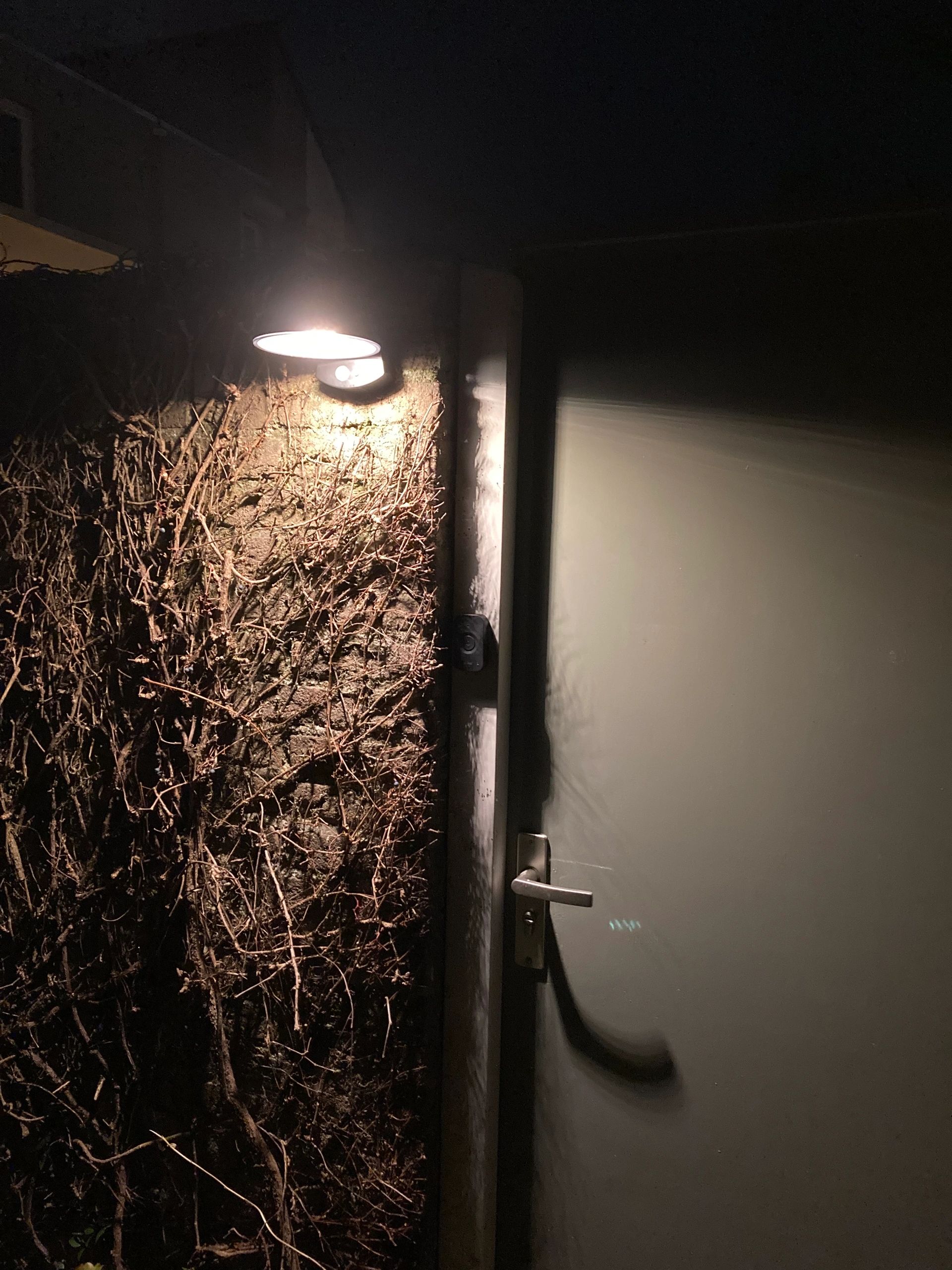 Solar wandlamp Darwin op zonne-energie