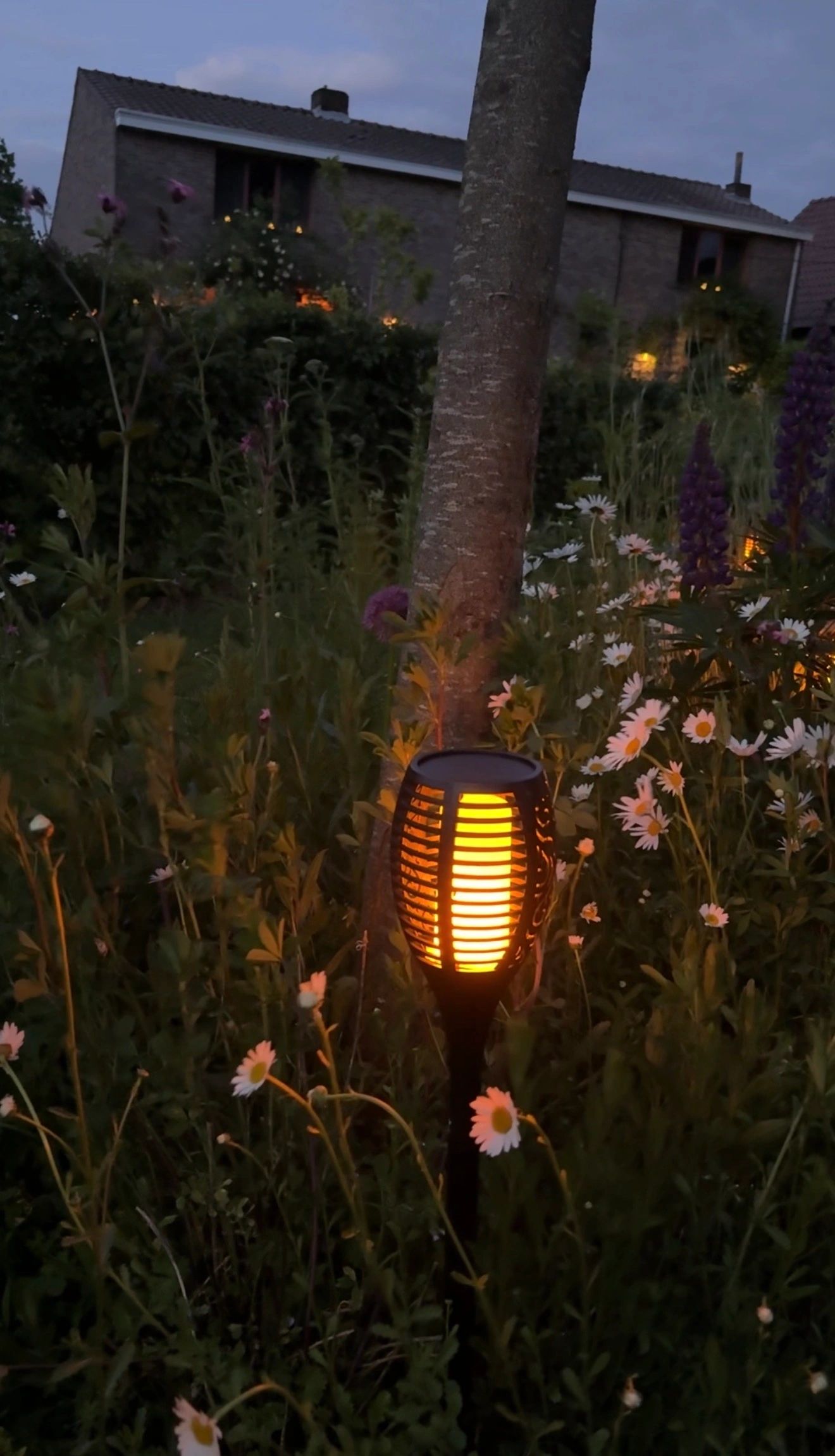 Solarlamp Fakkel voordeelset zwart met schemersensor