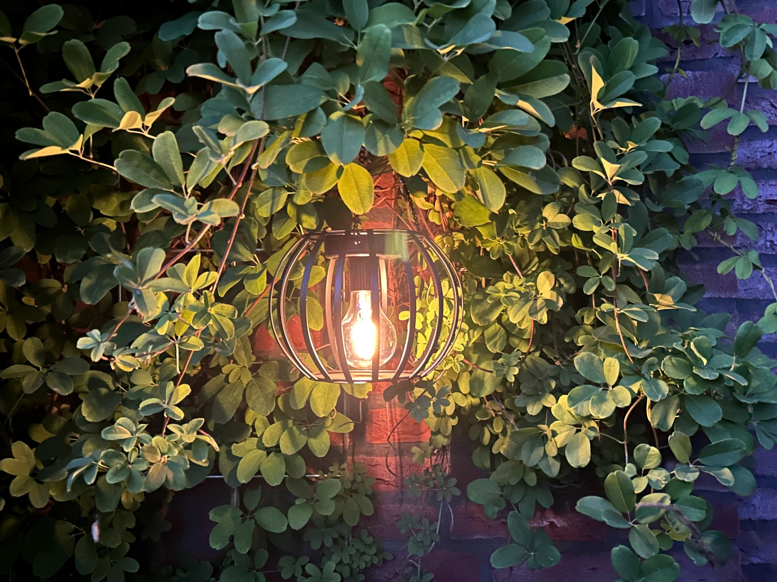 Solar hang- en tafellamp Manor op zonne-energie - Voordeelset van 2 stuks