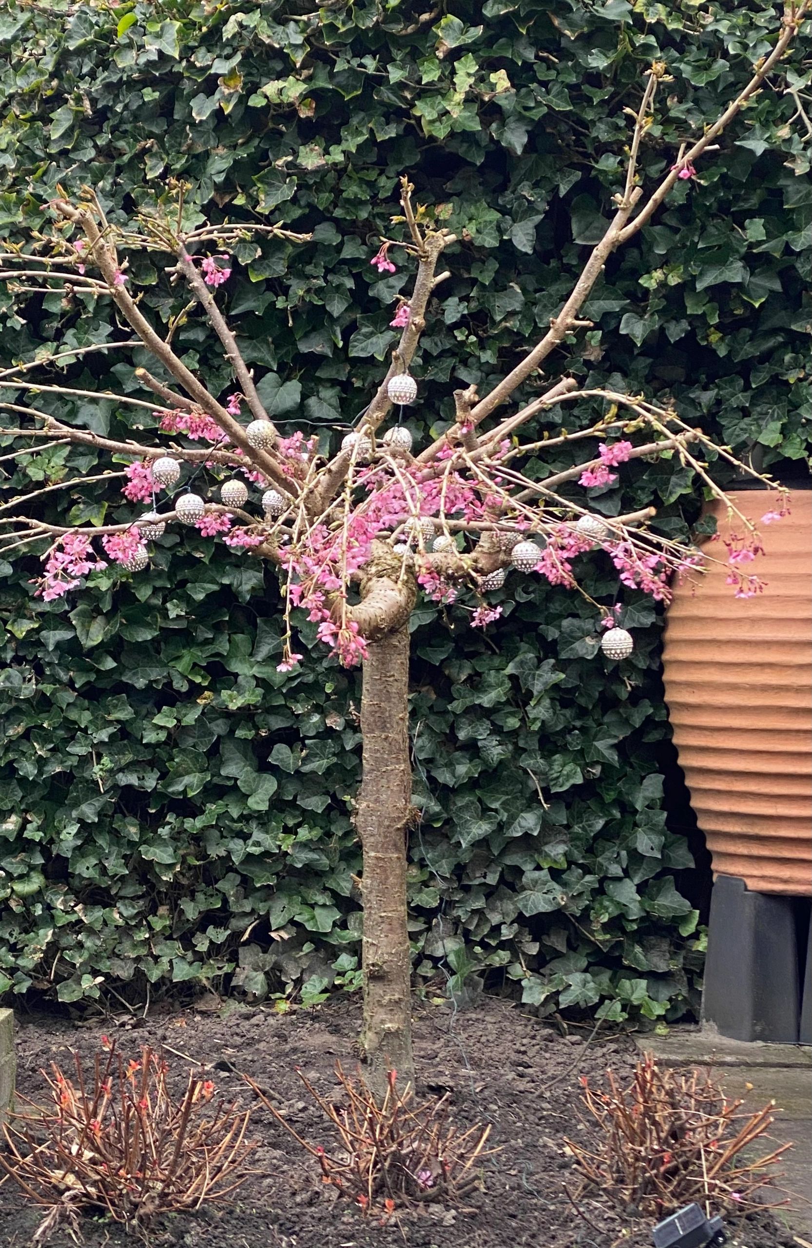 Solar lichtslinger Marrakech met 20 warm witte led lampen