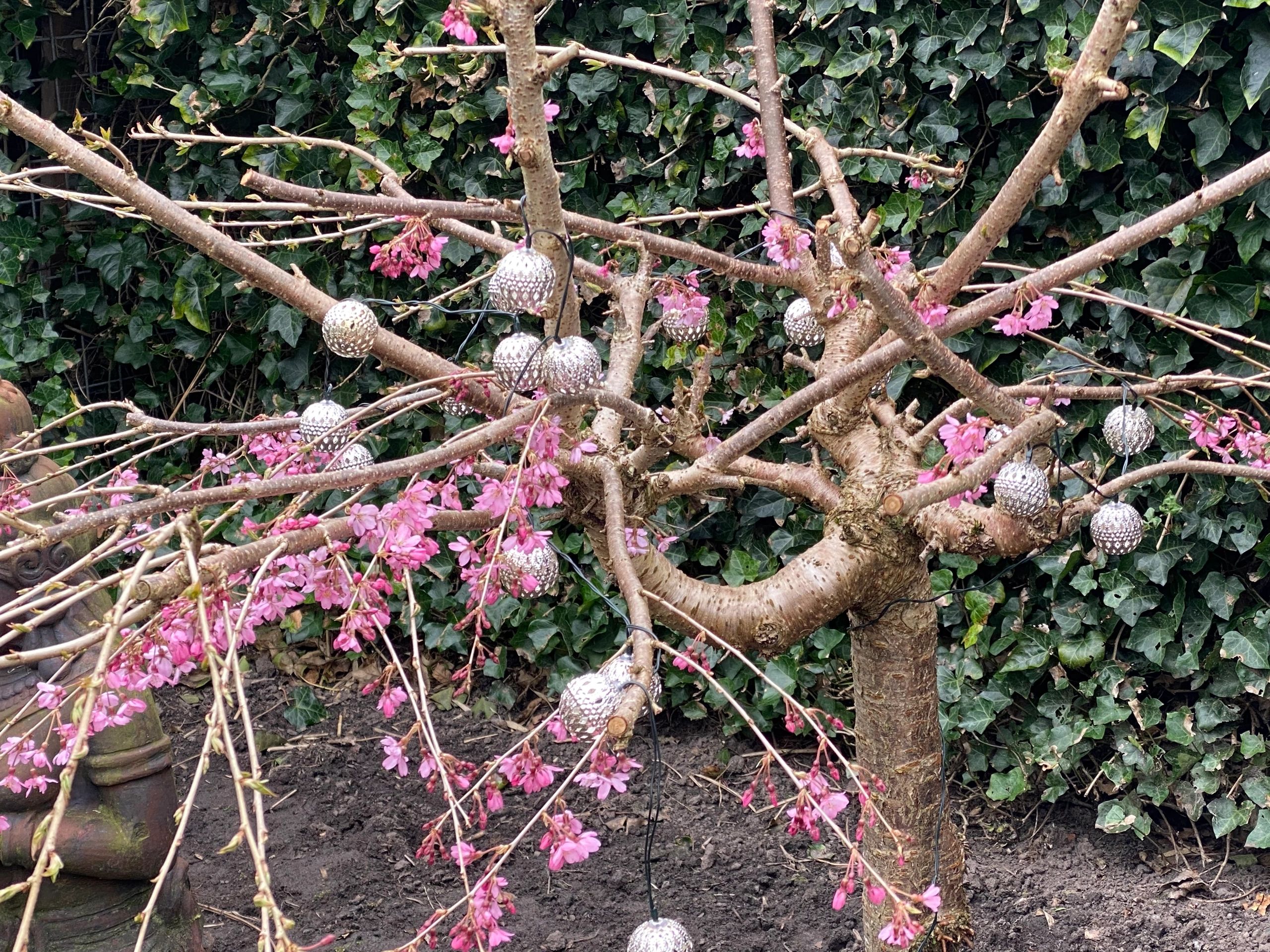 Solar lichtslinger Marrakech met 20 warm witte led lampen