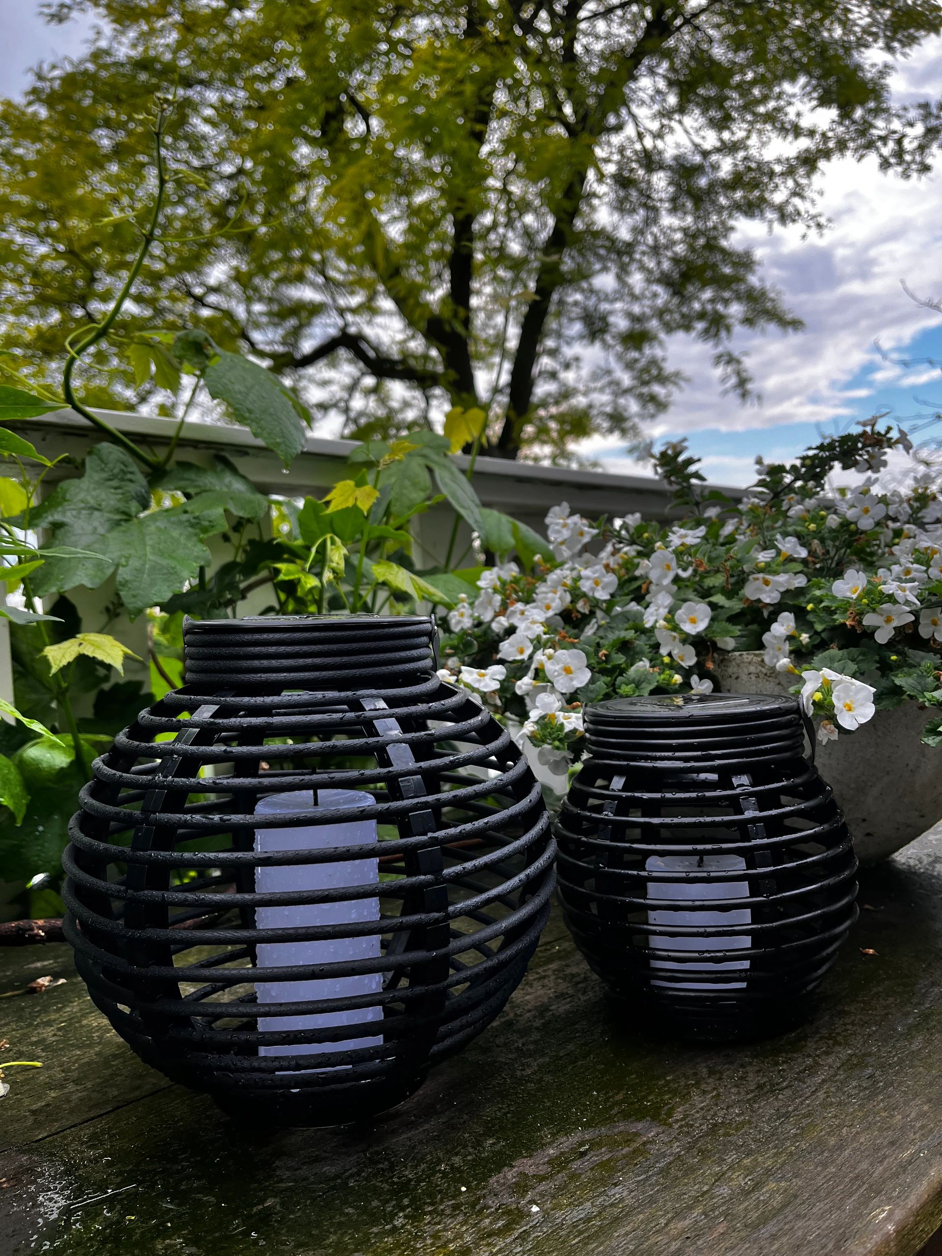 Solar Basket combideal 3 lampen op zonne energie