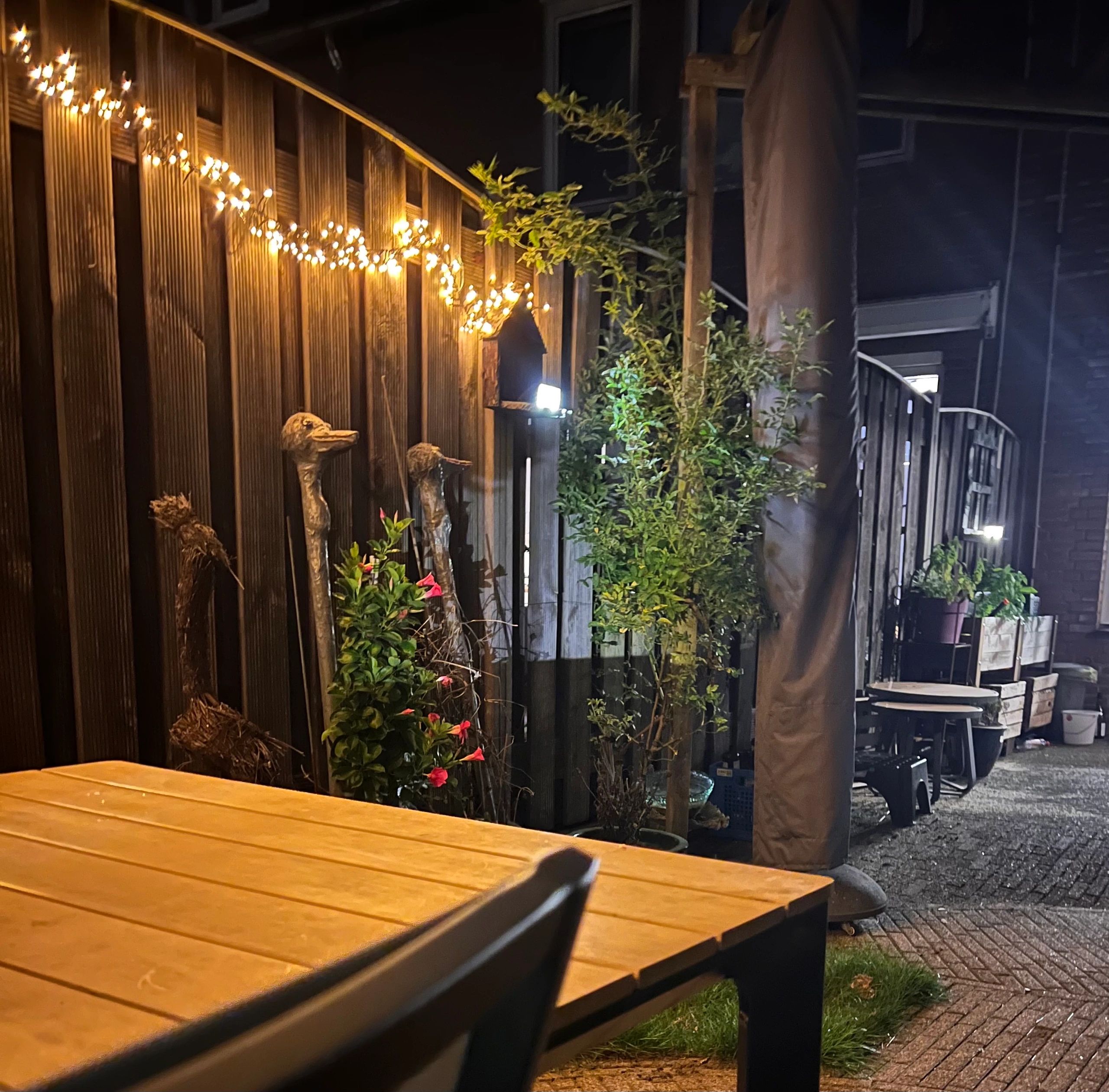 Solar Wandlamp Beam | Helder wit licht | Met bewegingssensor