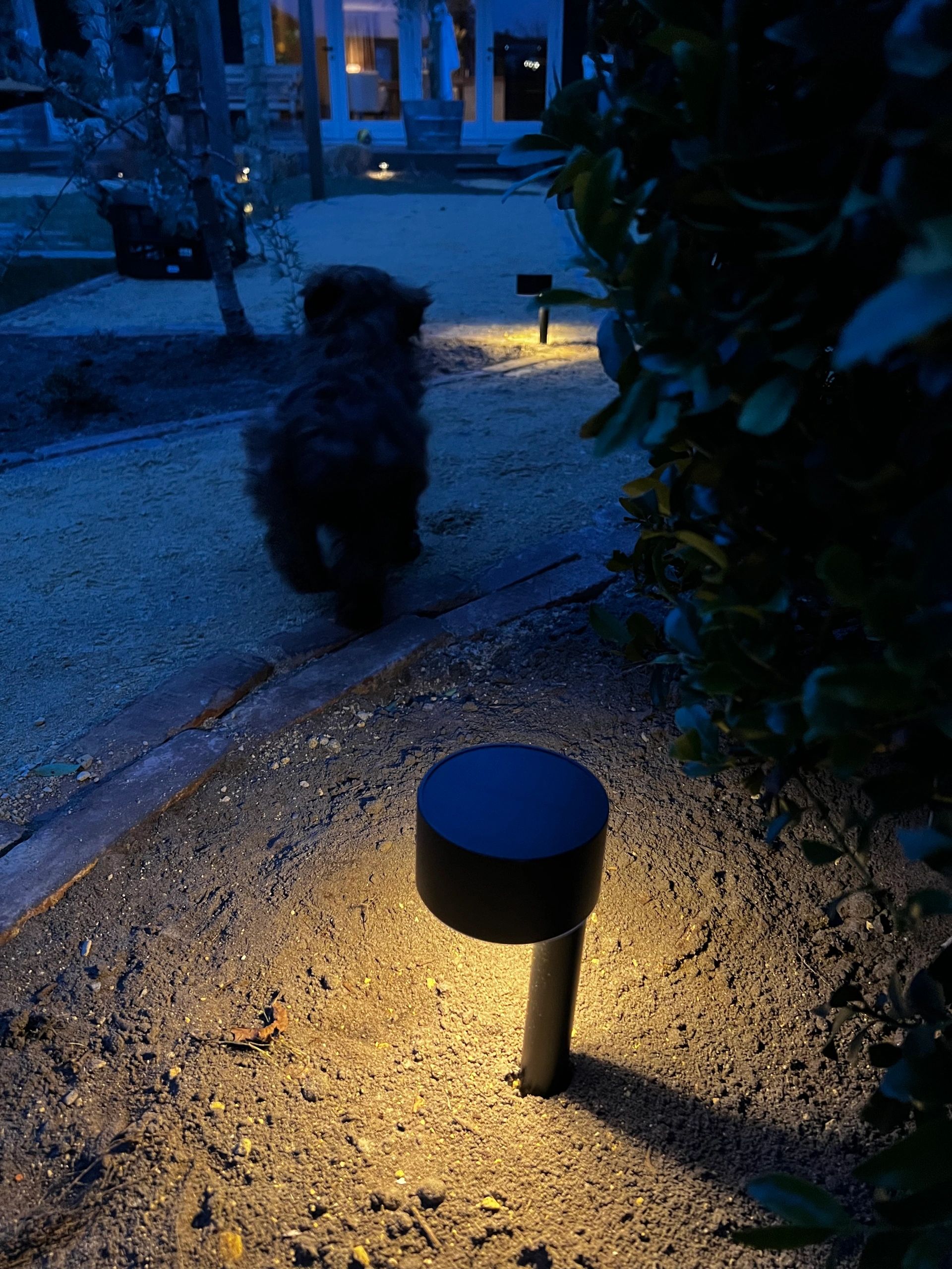 Brendz Solar Priklamp Vik 3-Pack