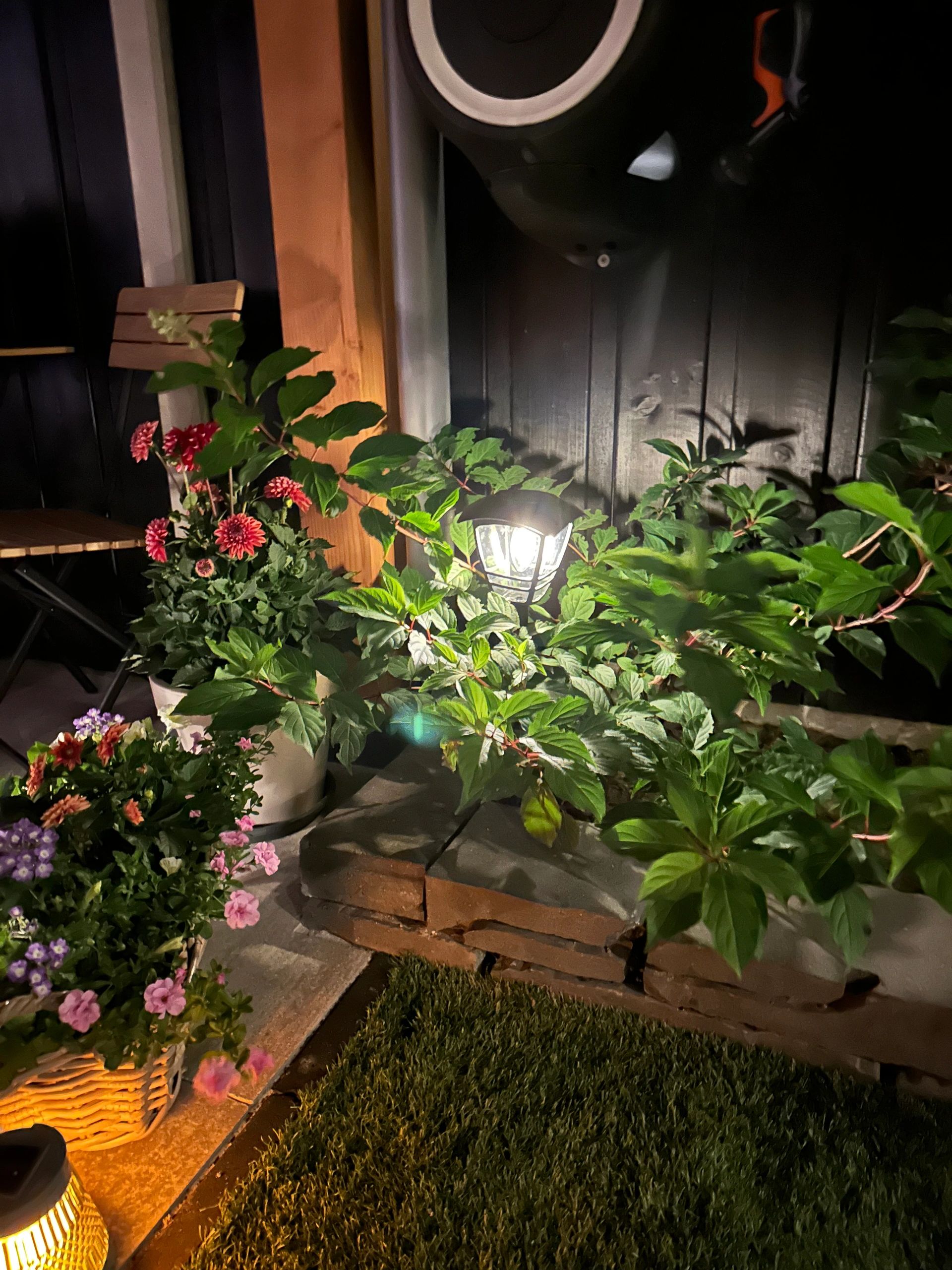 Solar priklamp Prickle met warm wit licht voordeelset van 4