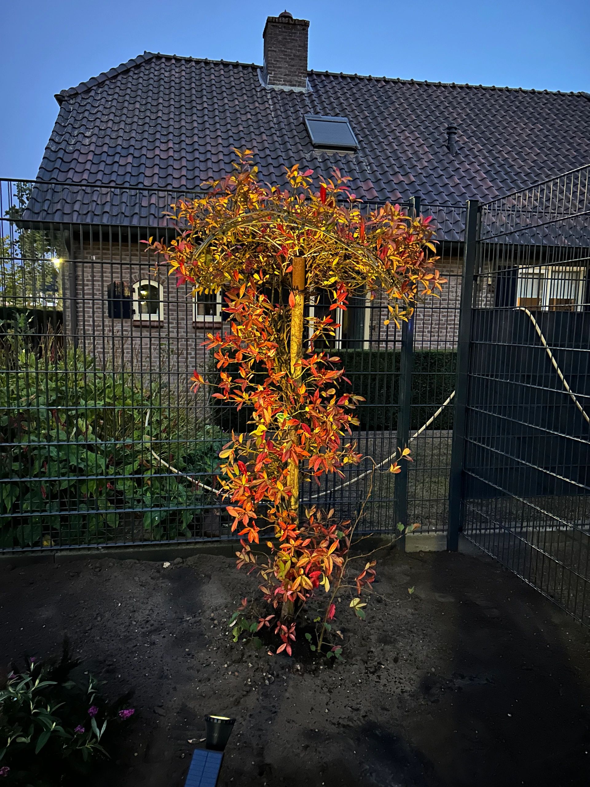 Solar spot Highlight voor wandmontage of grondspies warm wit voordeelset 3