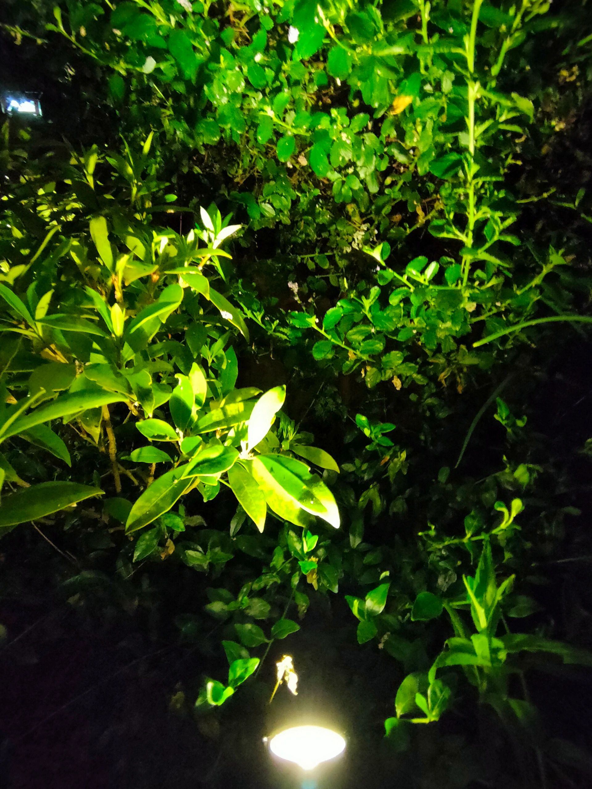 Solar spots Double Twins met vier spots en los solarpaneel