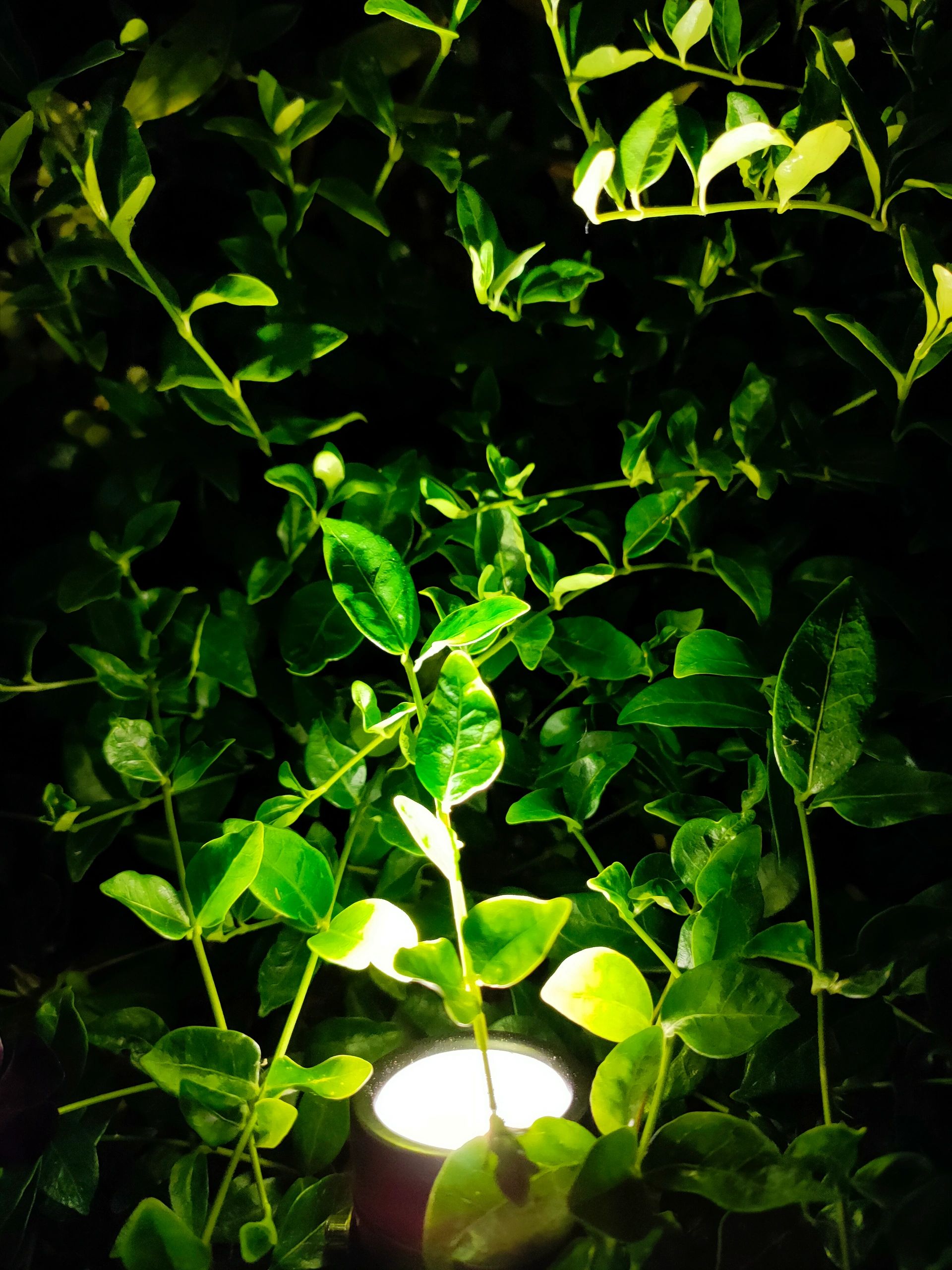 Solar spots Double Twins met vier spots en los solarpaneel