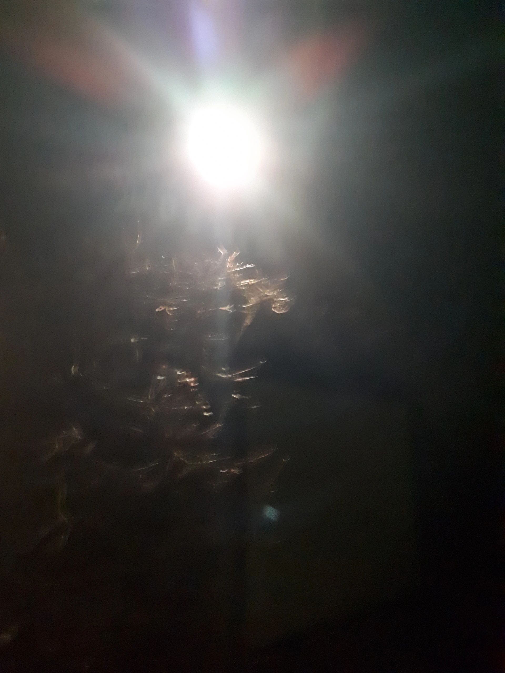 Solar beveiligingslamp Secur II met bewegingsmelder los paneel