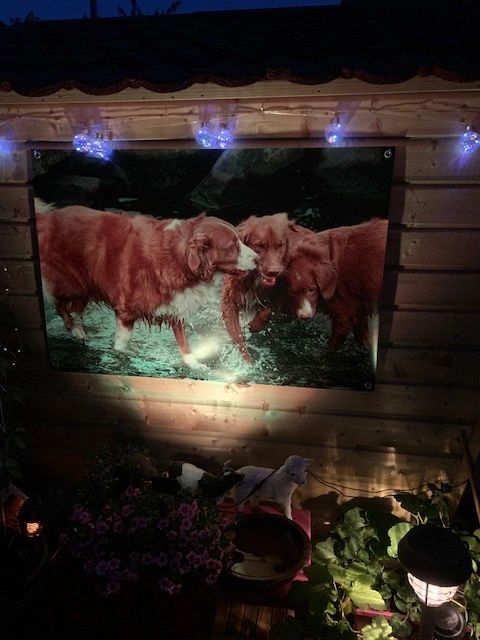 Solar RGBW multicolor breedstraler Rainbow met afstandsbediening