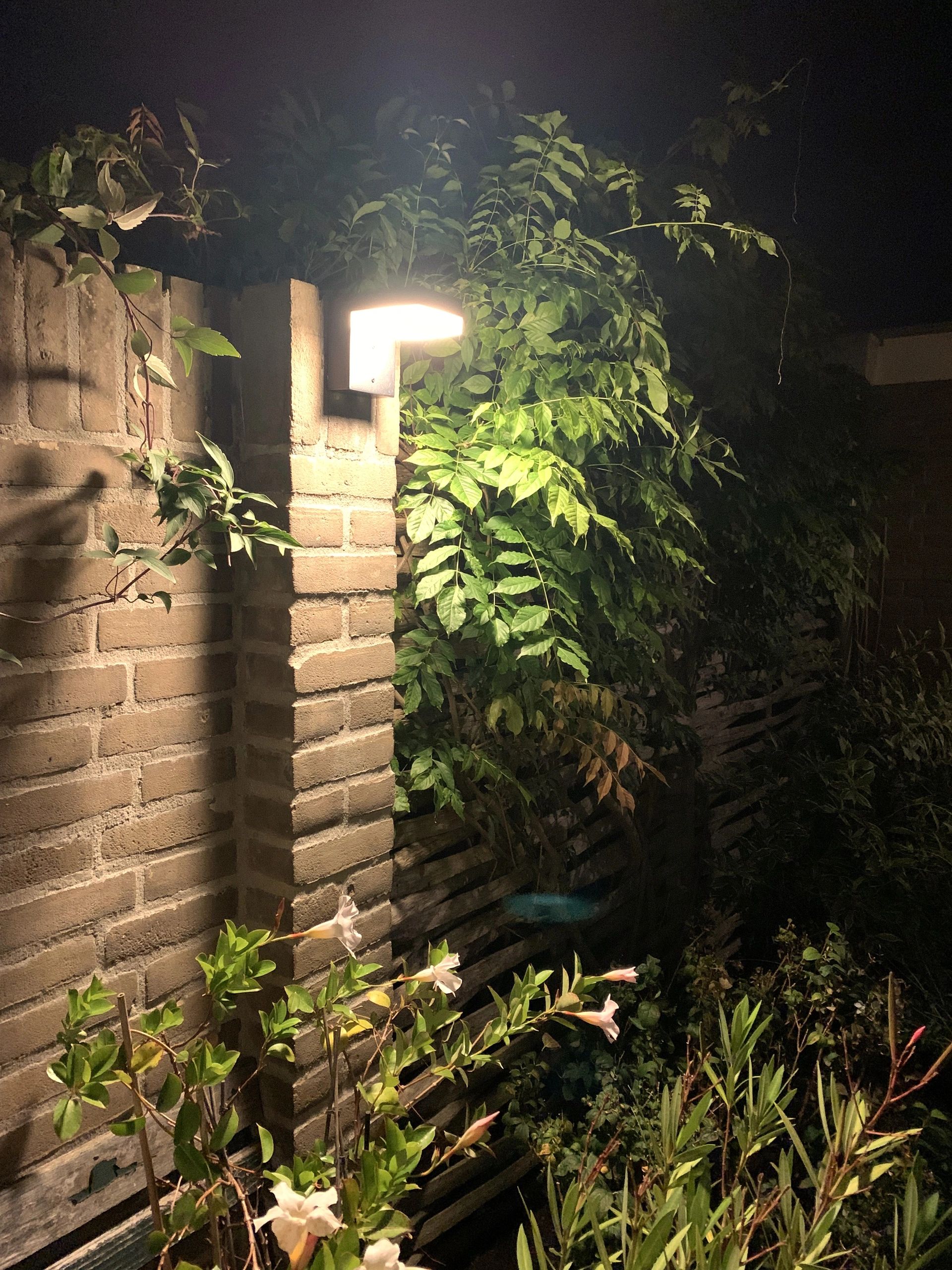 Solar wandlamp Oslo warm wit licht met bewegingssensor