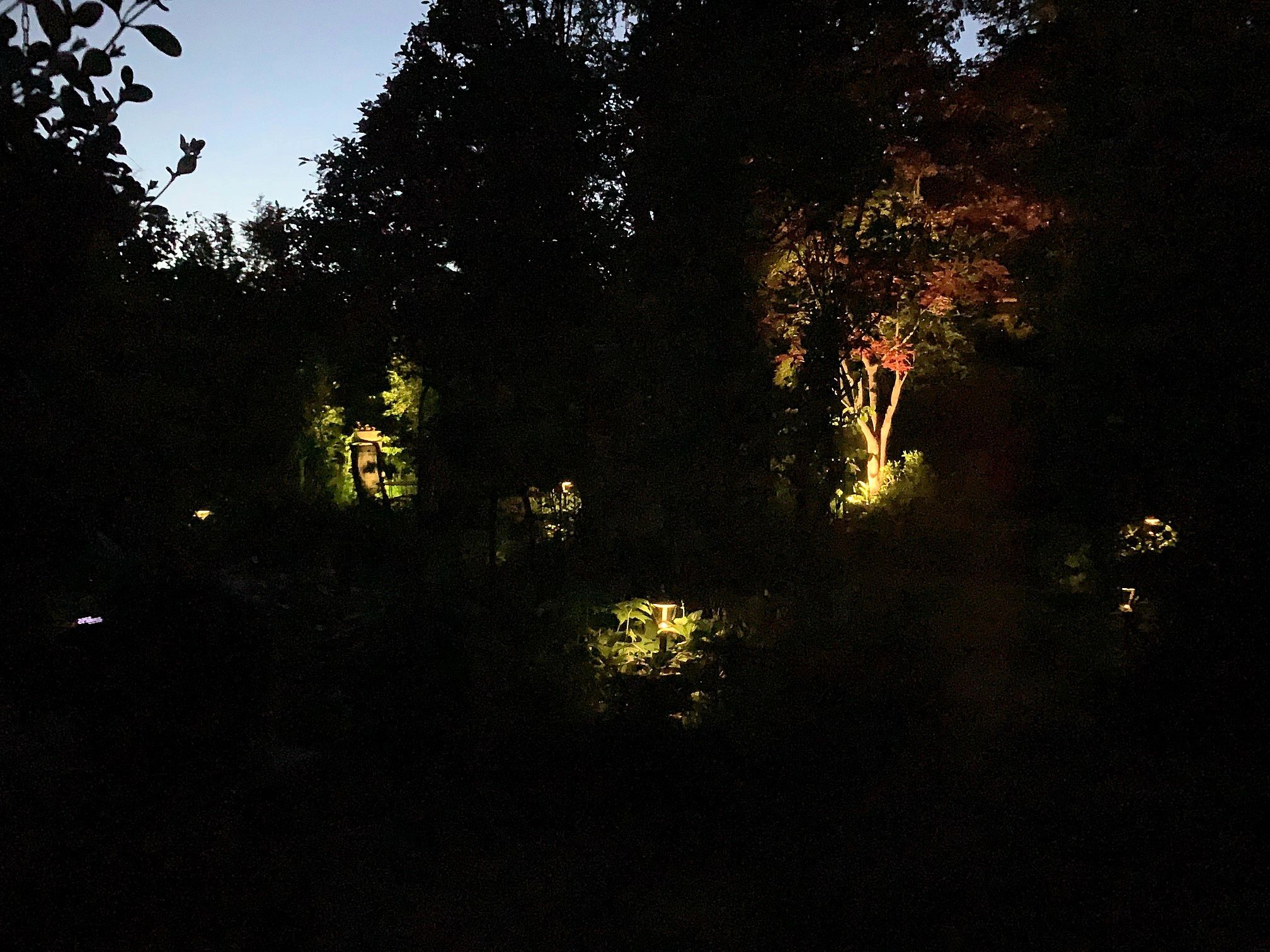 Voordeelset Solar priklamp Birdie zwart met warm wit licht