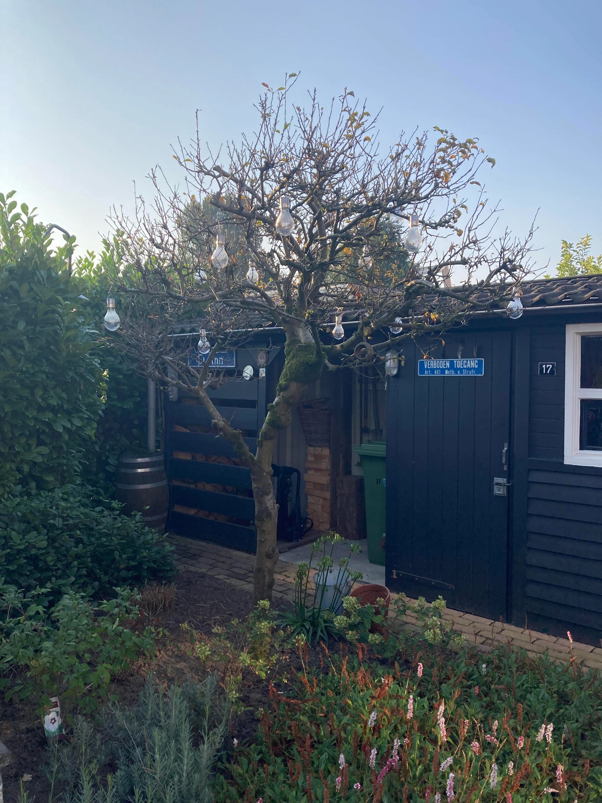 Solar LED lamp Eddy gloeilamp deco - set van 8 - op zonne energie