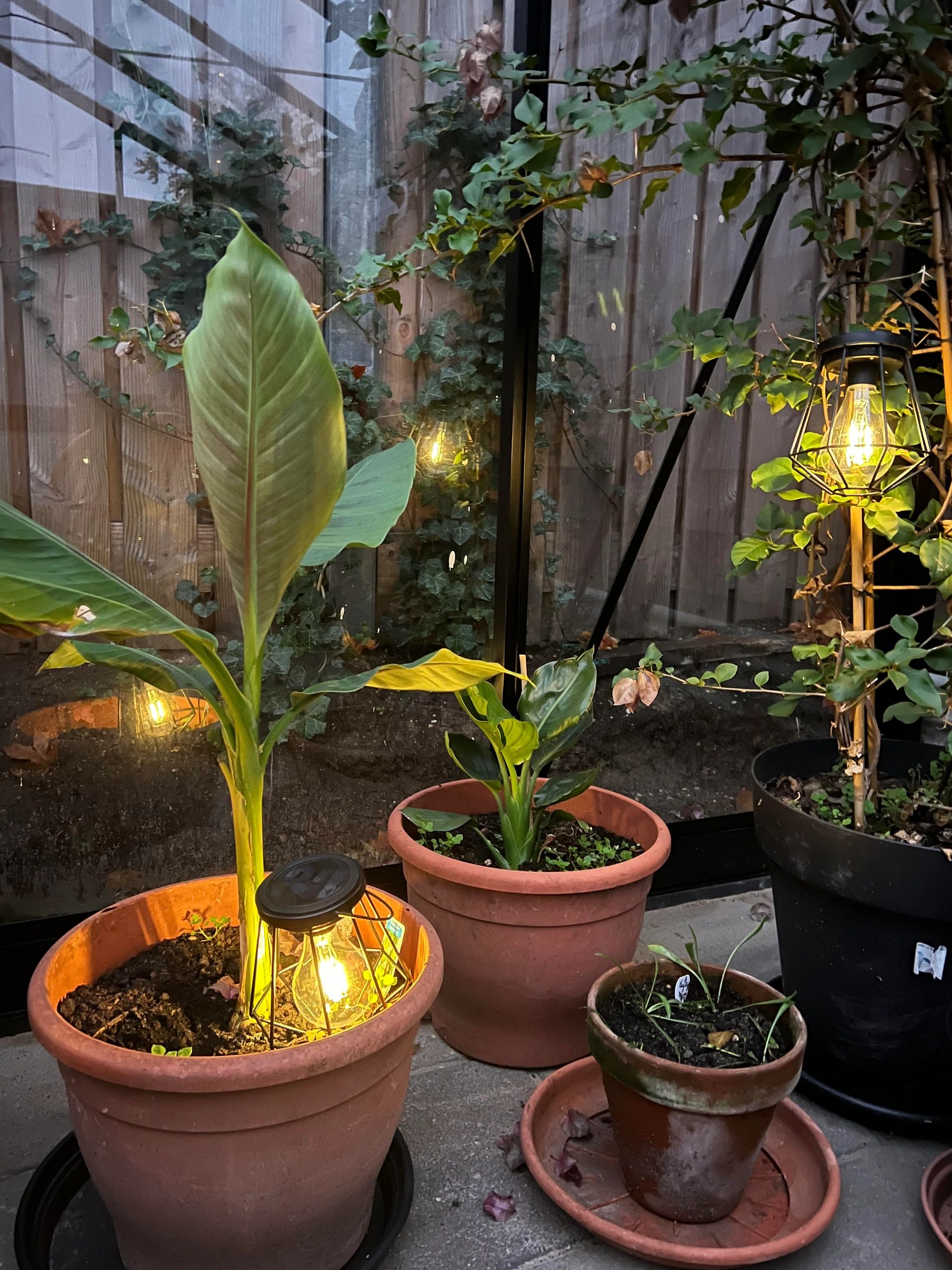 Solar LED lamp Vogue zwarte buitenlamp op zonne energie